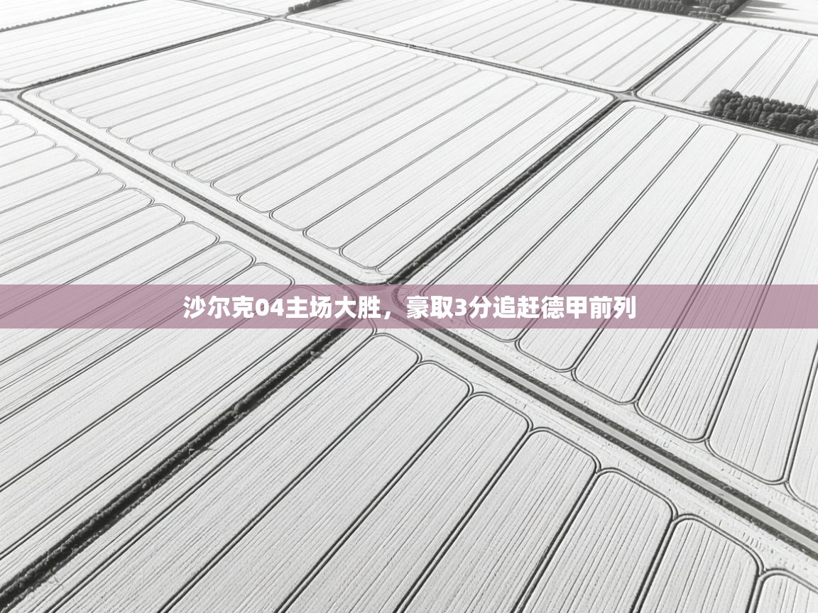 沙尔克04主场大胜，豪取3分追赶德甲前列  第2张