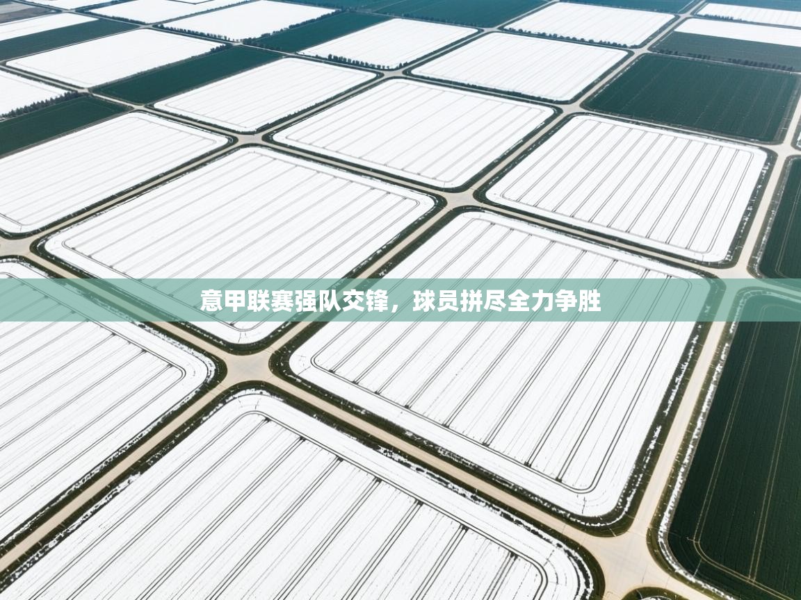 意甲联赛强队交锋，球员拼尽全力争胜